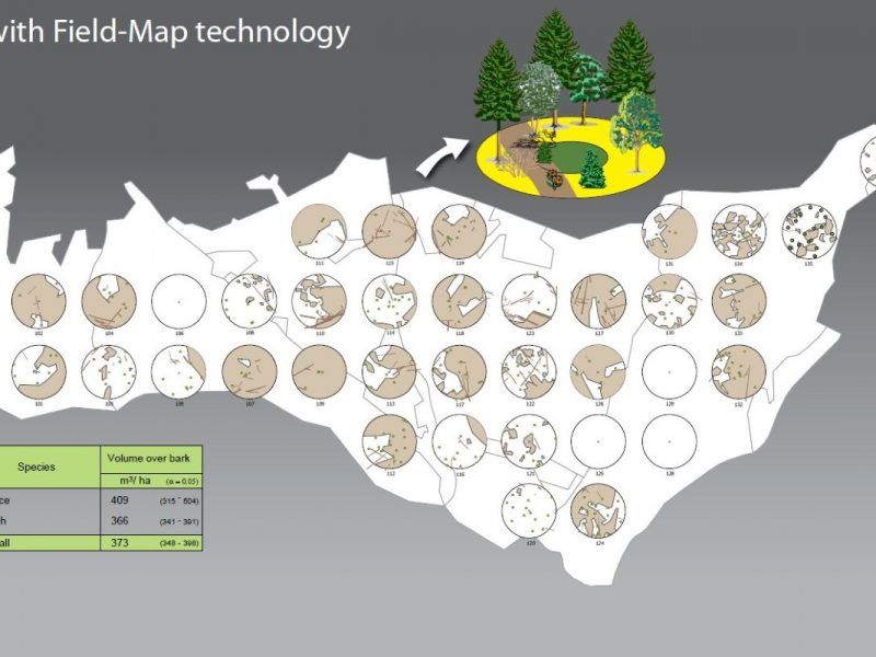 Inventario forestal con Field-Map