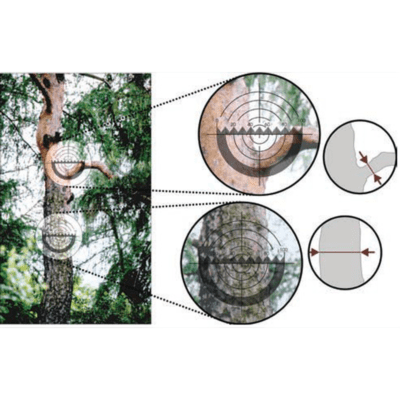 Dendroscopio TruPulse Criterion RD 1000