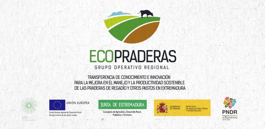 Grupo Operativo Ecopraderas