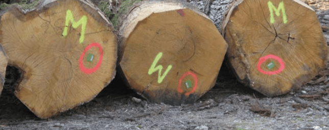 Pintura de señalamiento para madera