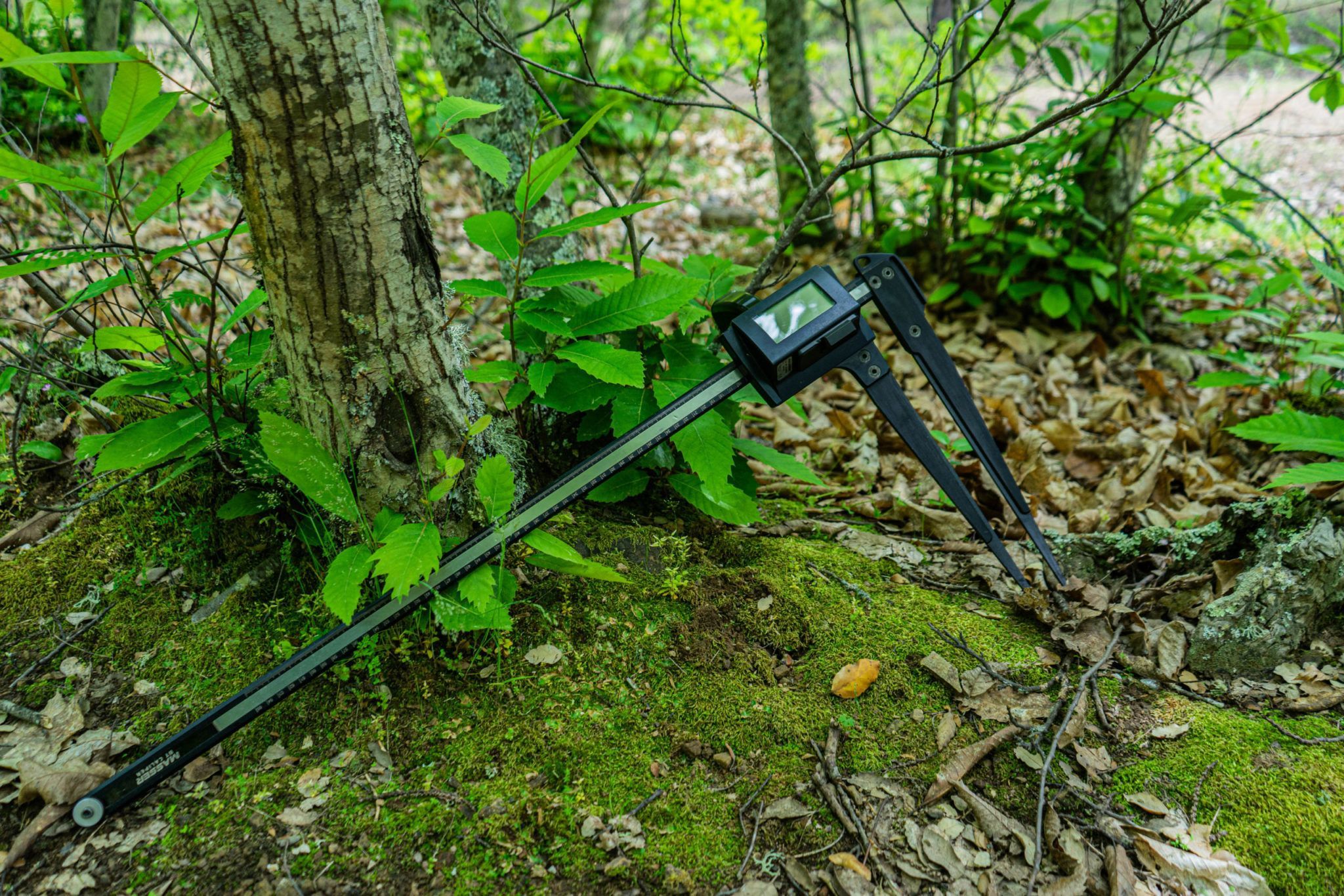 Field-Map Forest Collector, alquiler de equipos Field-Map, alquiler de equipos de medición